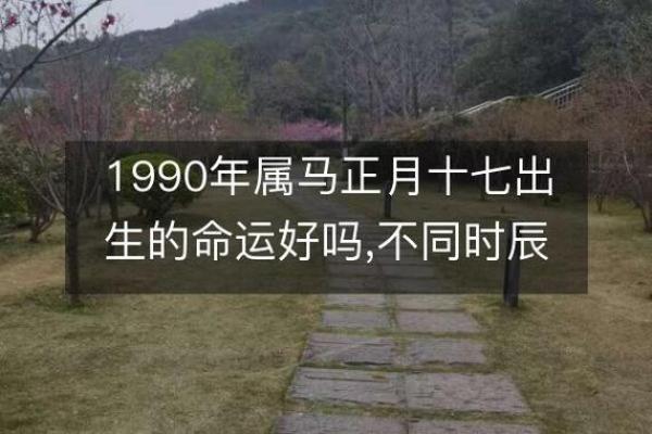 1990年属马的人命运解析与性格特点探讨